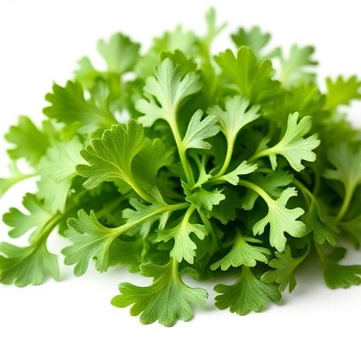 Arugula