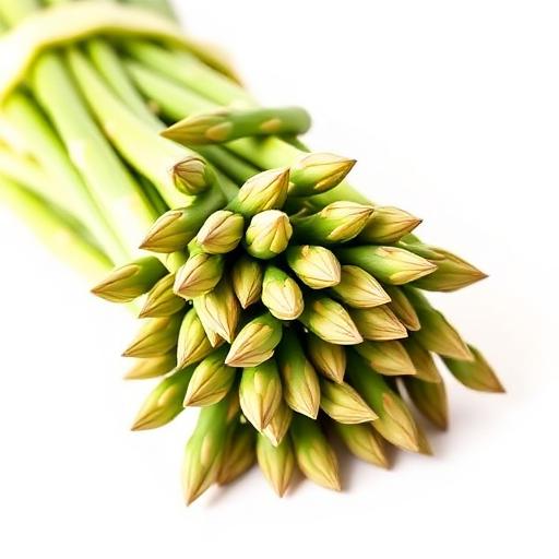 Asparagus