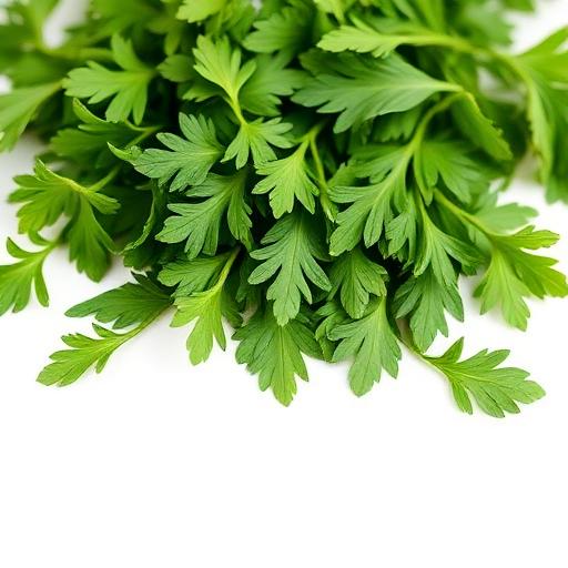 Fenugreek