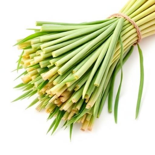 Lemon Grass