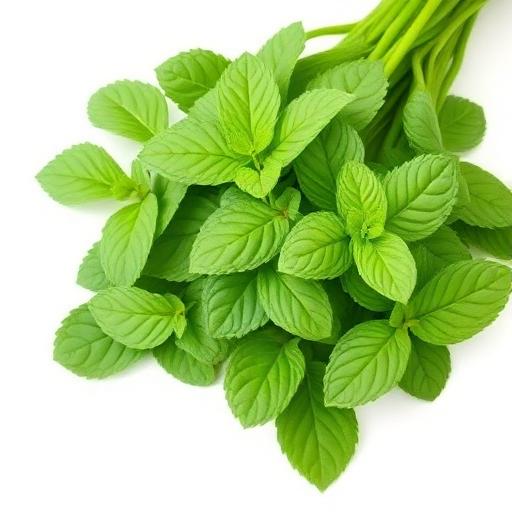 Mint