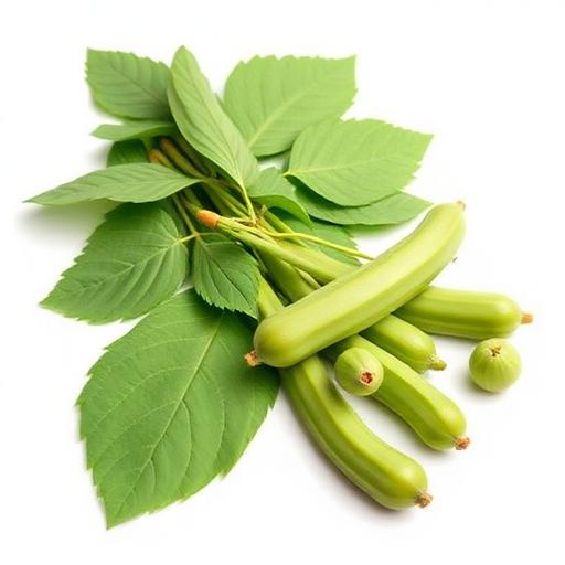 Moringa