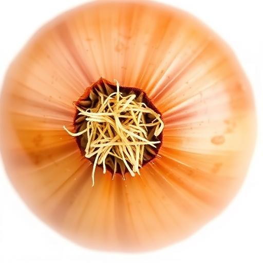 Onion