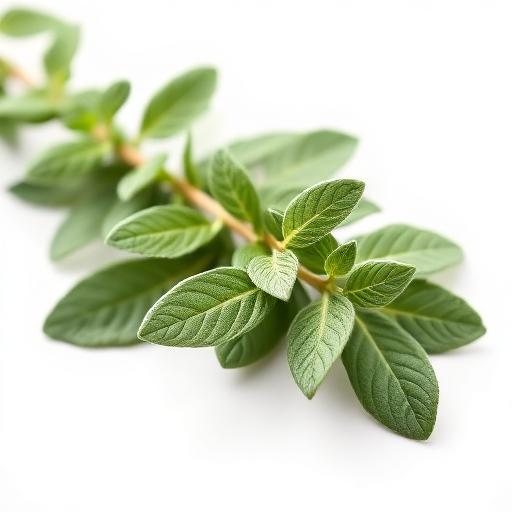 Sage