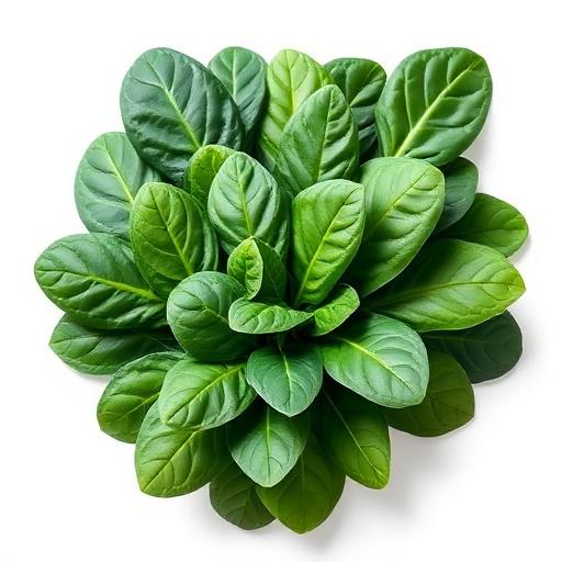 Spinach